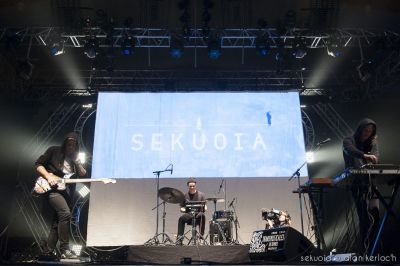 sekuoia-01