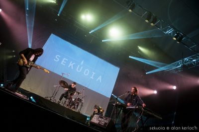 sekuoia-05